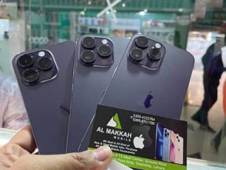 328645229-400×300.jpeg