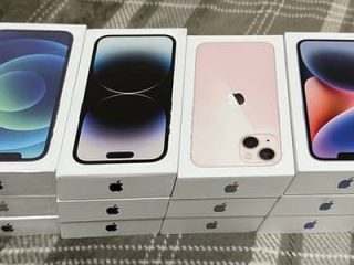 333311723-400×300.jpeg