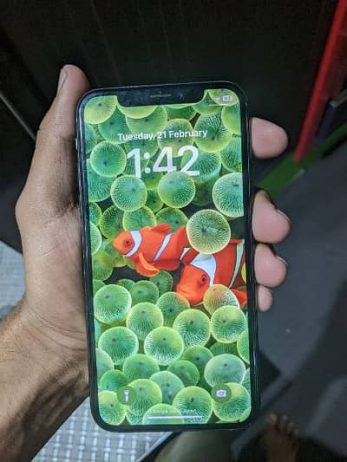 333426999-400×300.jpeg