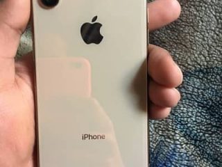 334061228-400×300.jpeg