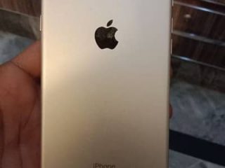 334240144-400×300.jpeg